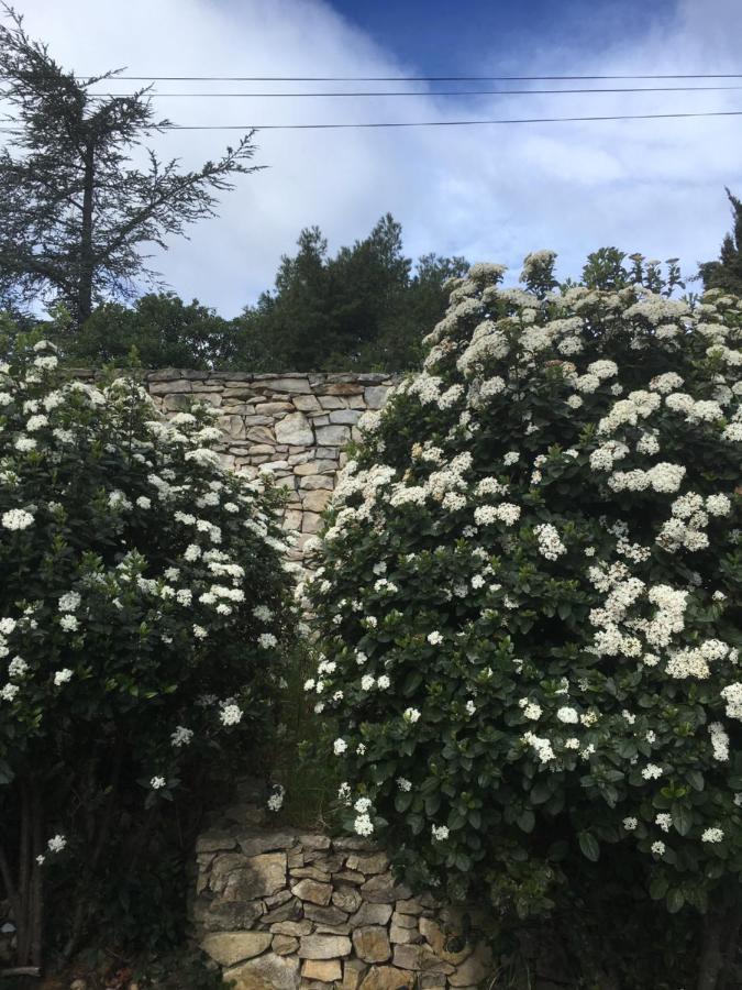La Chambre Haute Nîmes Kültér fotó